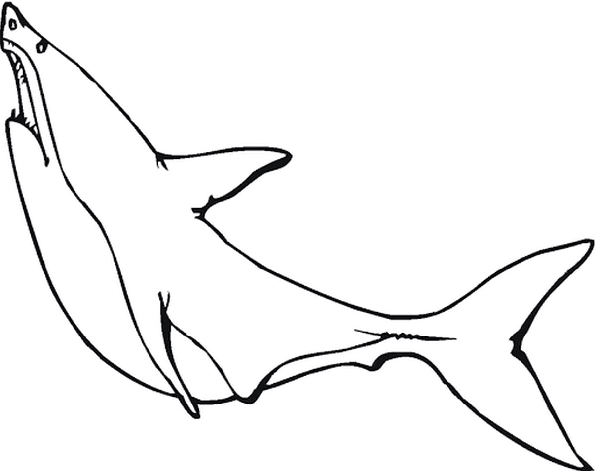 Coloring page 151