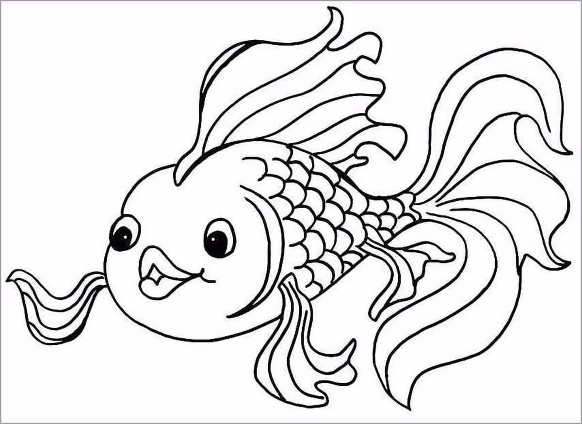 Hình 150