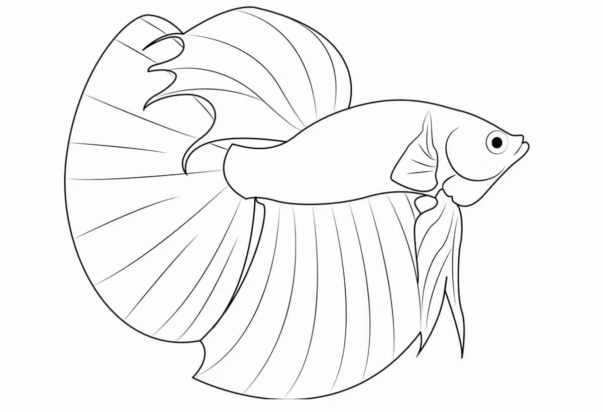 Hình 35