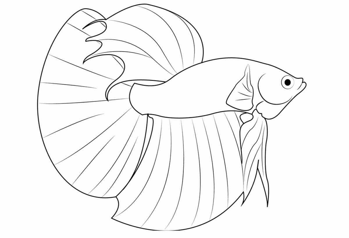 Coloring page 35