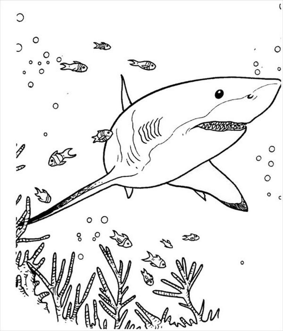 Coloring page 84