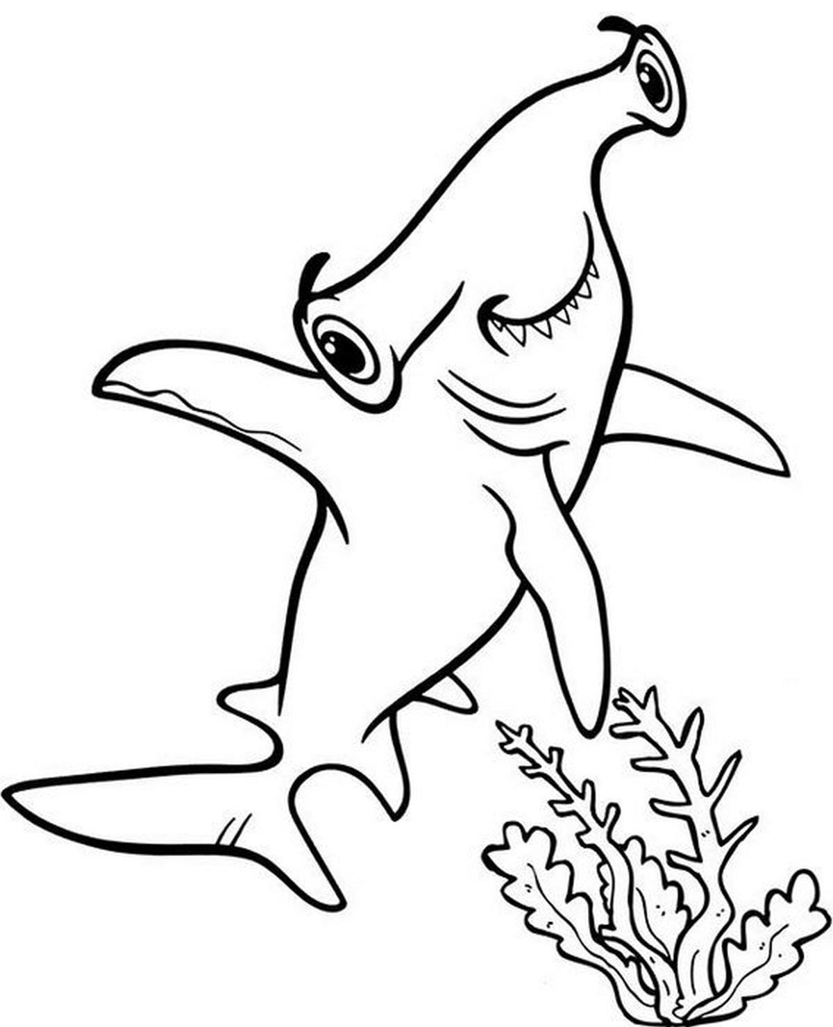 Coloring page 65