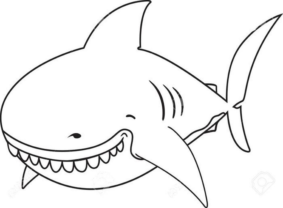 Coloring page 81
