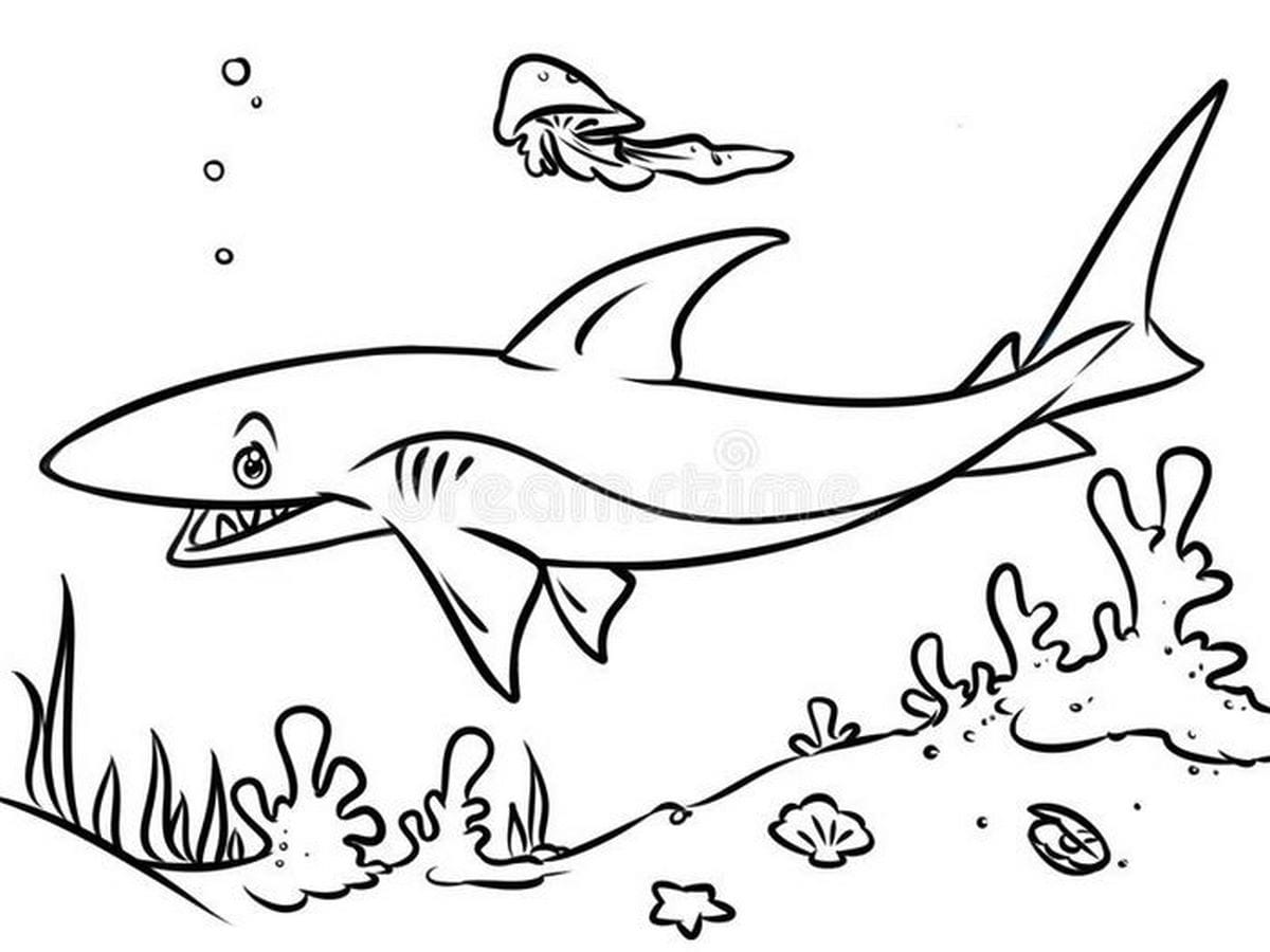 Coloring page 61