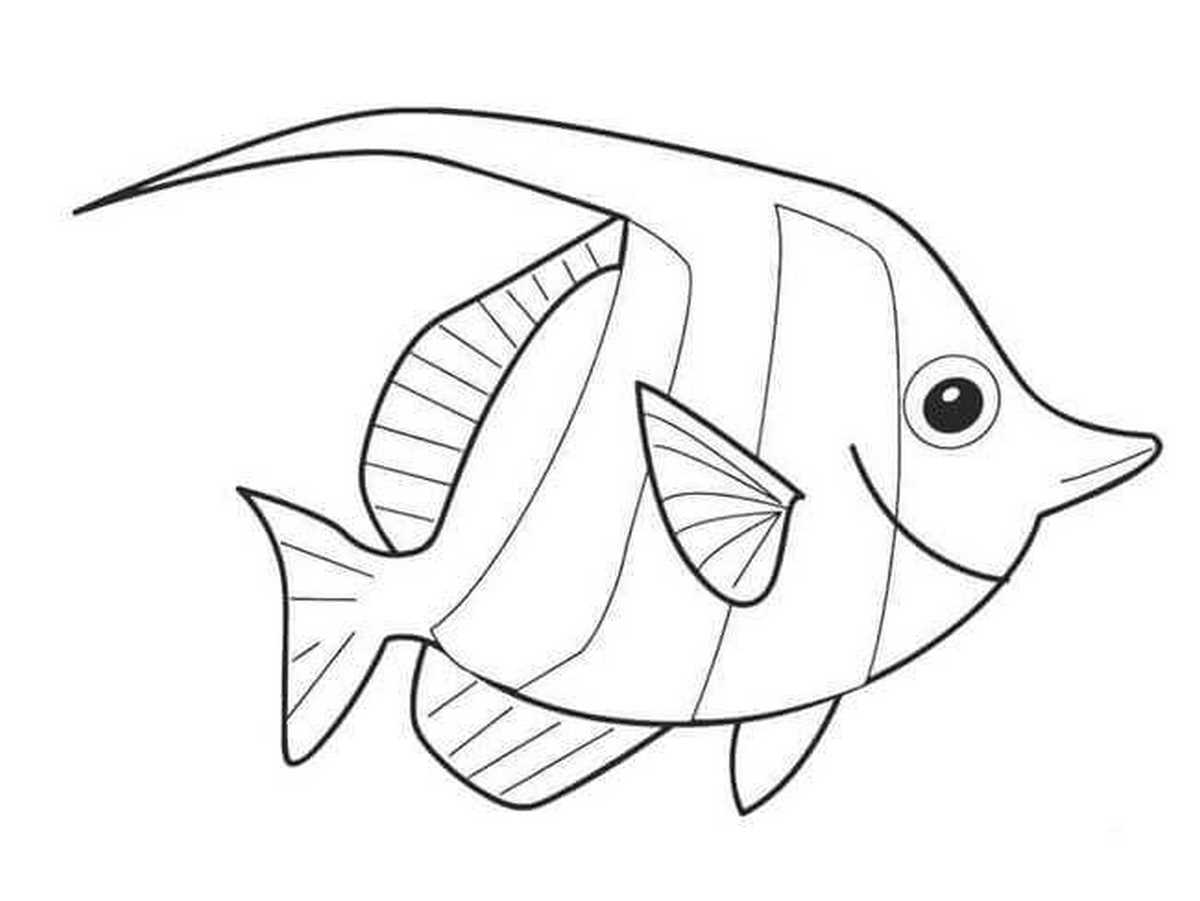 Coloring page 54