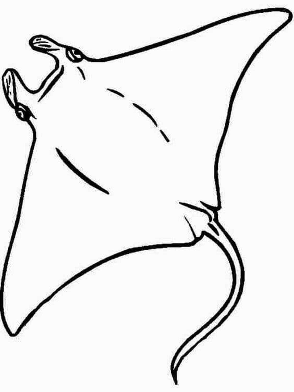 Coloring page 53