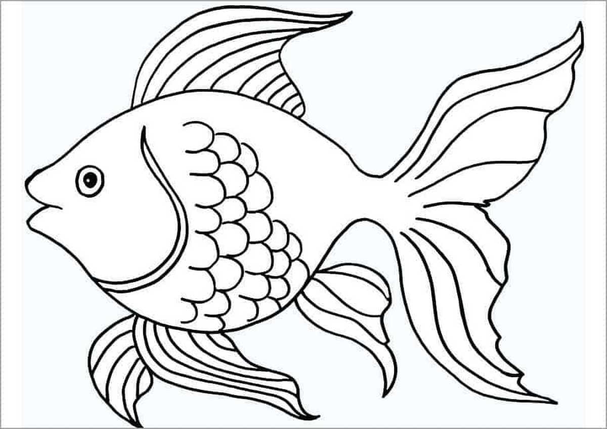 Coloring page 52