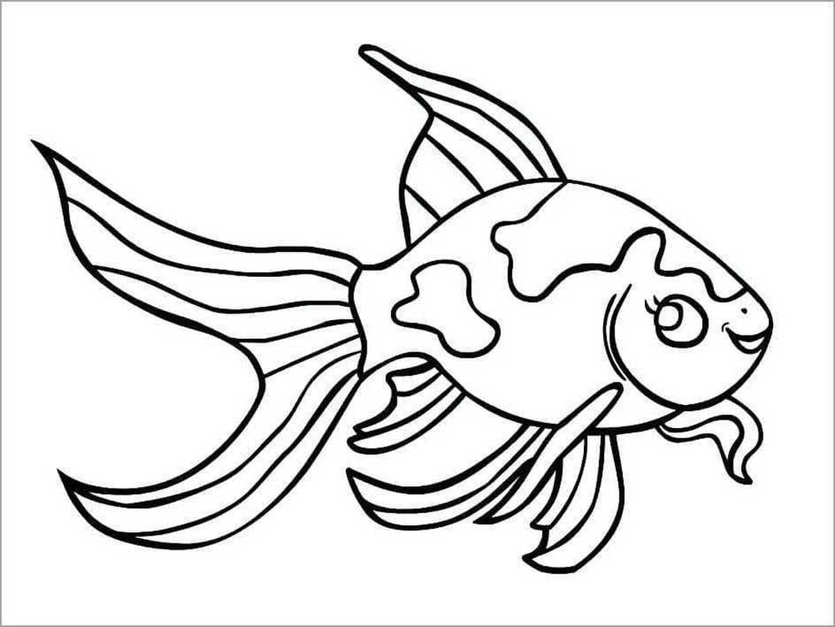 Coloring page 22