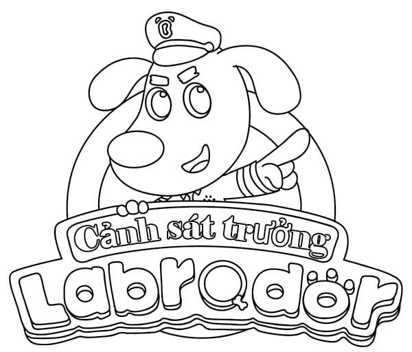 Hình 24