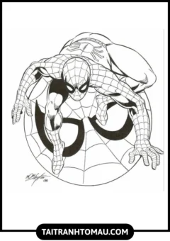 Tranh Tô Màu Người Nhện (Spider-Man) Cực Ngầu, Spider-Man vào tư thế sẵn sàng.