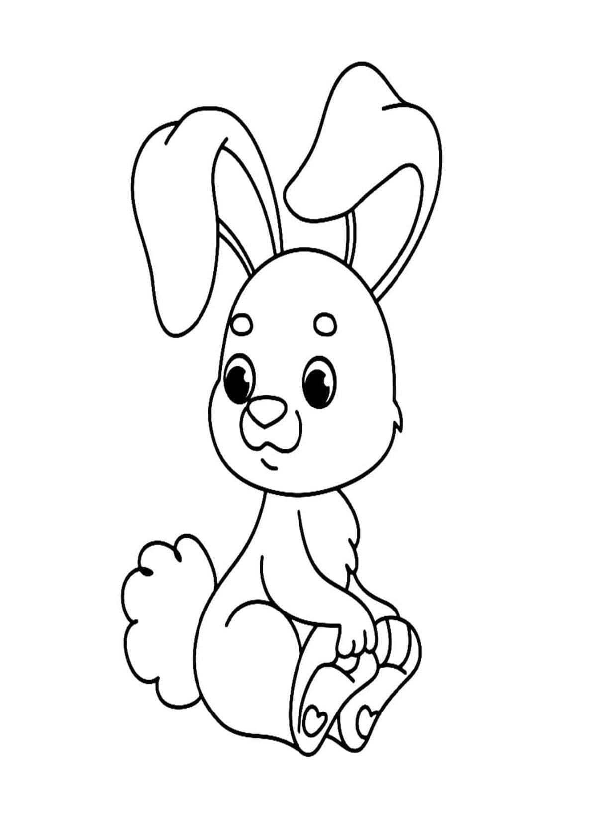 Hình 69