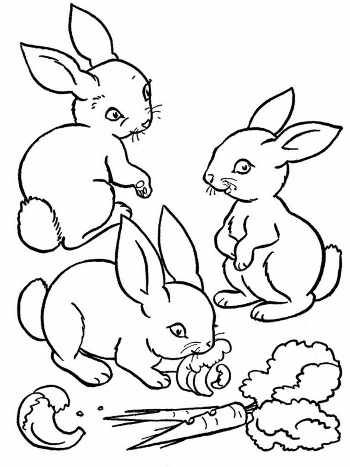 Tải 101+ Tranh Tô Màu Con Thỏ Cute, Đơn Giản Cho Bé [Miễn Phí PDF A4]