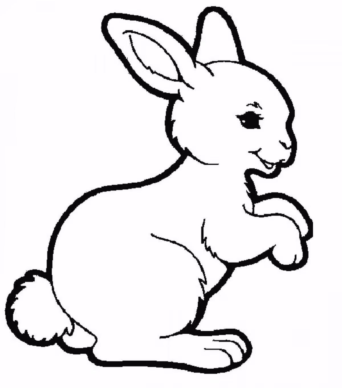 Hình 9