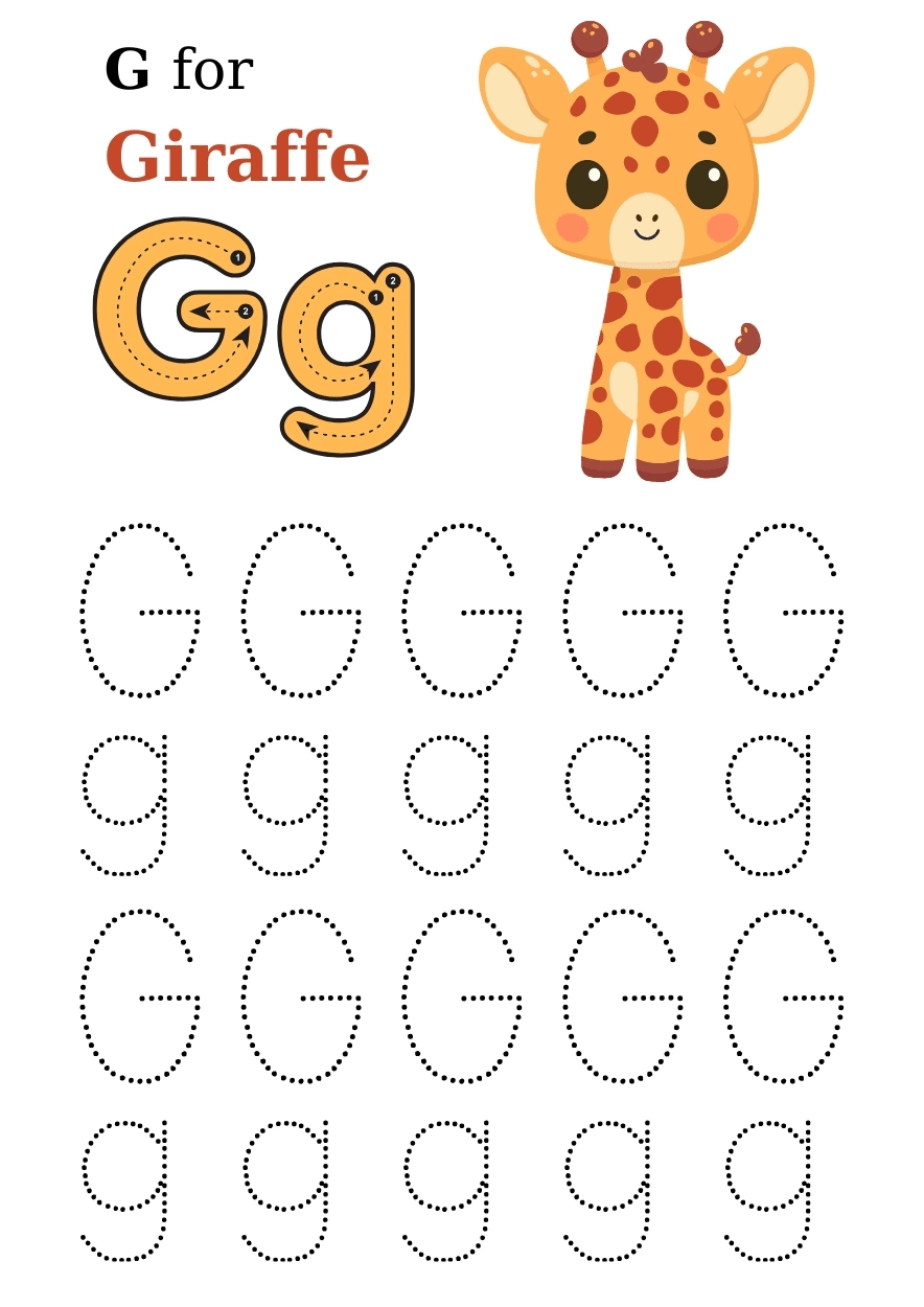 Hình 6