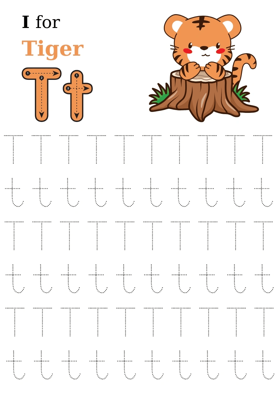 Hình 19