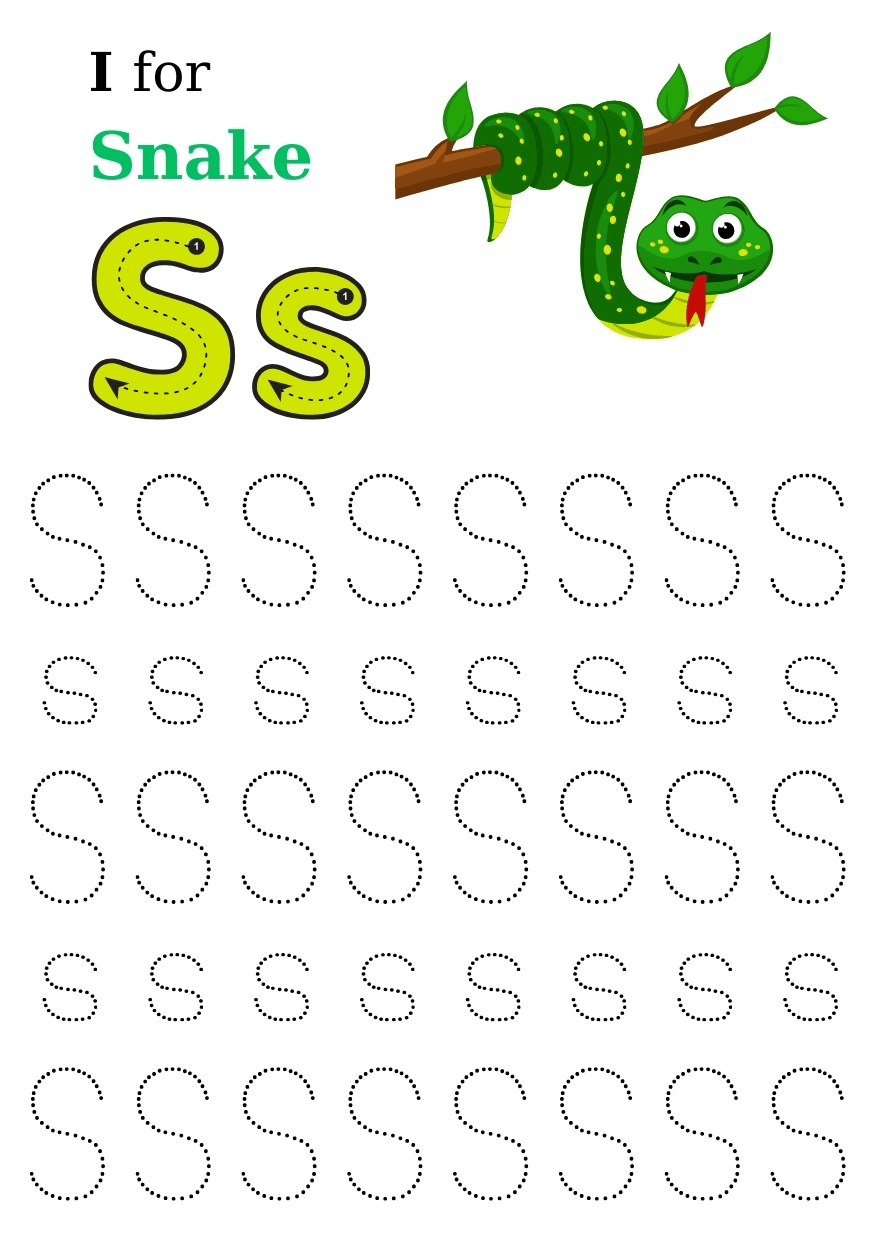 Hình 18