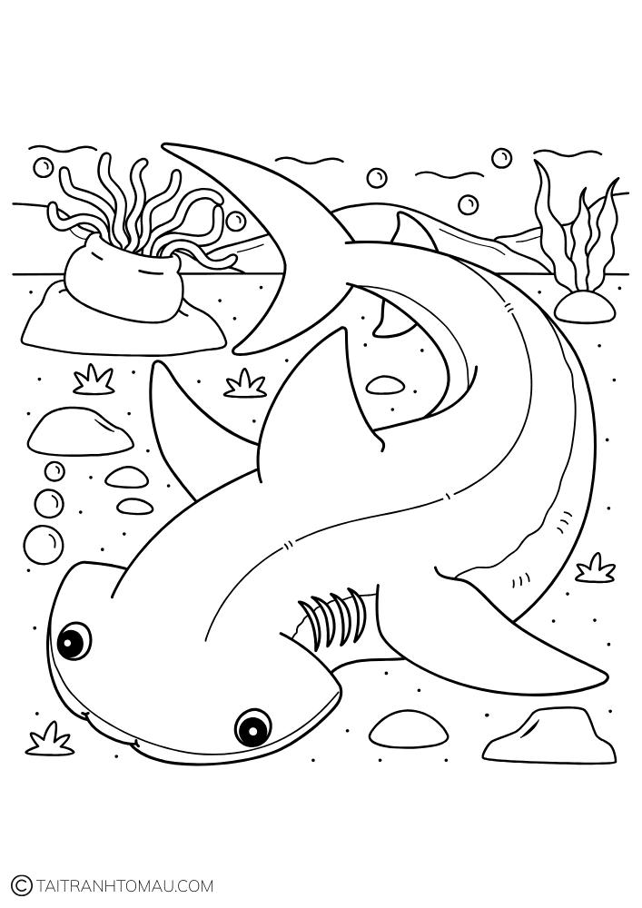 Hình 31