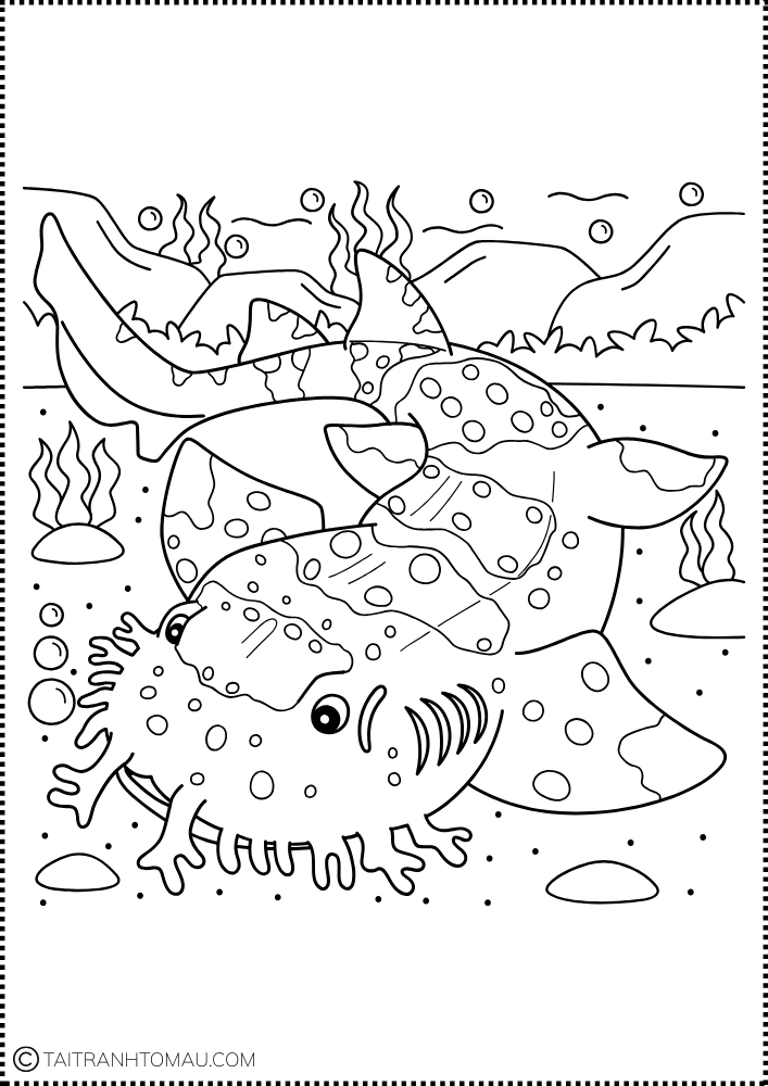 Hình 35