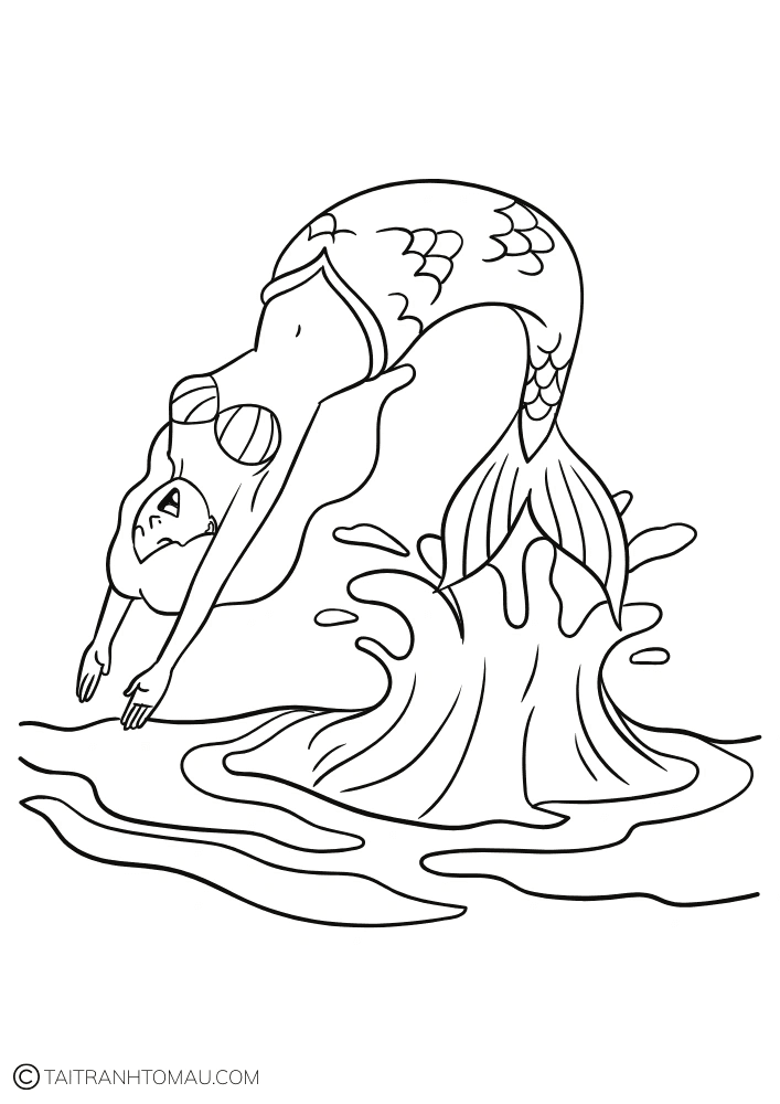 Hình 14