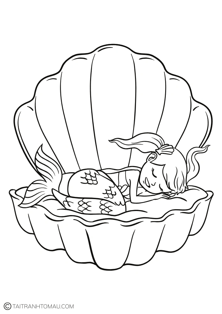 Hình 33
